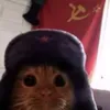 russian_ussr_cat