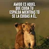manolo_elqsepresentasolo