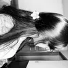 niaradavila_