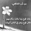 mahmoudmoawad224