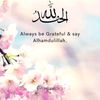 sameenshiekh