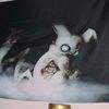pikadeadchu