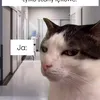 olixxxd1
