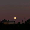 pwettiestmoon
