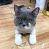 vumy73