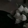elizabeth_sbeth