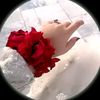dreamfairy070
