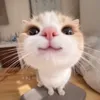 leelinhbe