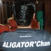 aligator_chan