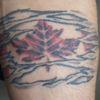 realcanadian011