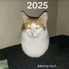 caotringuyen001