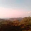 hinhmongtao