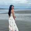 lycelcerbo
