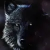 black_wolf_germany