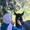 talaselawi0