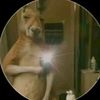 samu_561