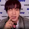 seokjinniesgirls