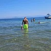 ungureanualex20