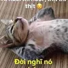 trui_ca