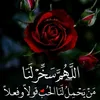 nazaraladwan0