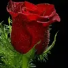 user3521211782938