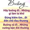 maihao1991