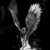 pixx_16