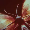 llrachel_ldk