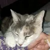 pamelacjsla25