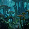 c0l4b.forest