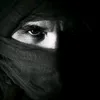 hassanalhamiri11