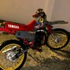 santigogarcia835