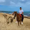 dzairi_xx