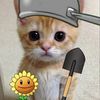 Weibi_Wabo