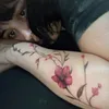 dianaramirez8312