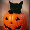 halloweenfav22