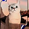 byz_2728