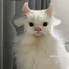 dangtun209