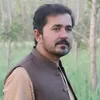 shabbirjan872
