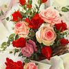elena_3541440025532