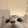 ntm_116