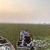 todachai