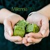 millennia_tea