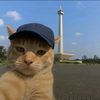 rafiyusuf13