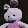 kia_raf