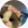 sarah_blfy