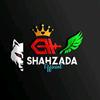 sha__hzad__malik