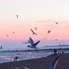 nd_dn6