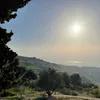 mohanajdawi