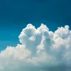 timur_vv7